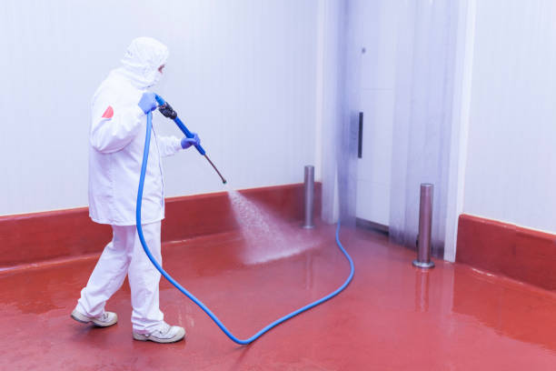 Best Paint Preparation  in Surrey, ND