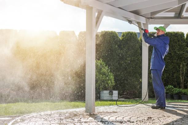 Best Dumpster Area Cleaning  in Surrey, ND